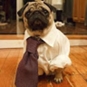 Meet your Posher, Tara kelly